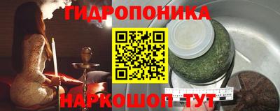 прущие грибы Краснокаменск