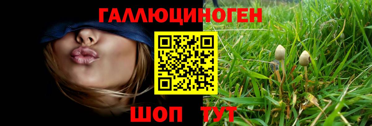 Галлюциногенные грибы GOLDEN TEACHER Еманжелинск